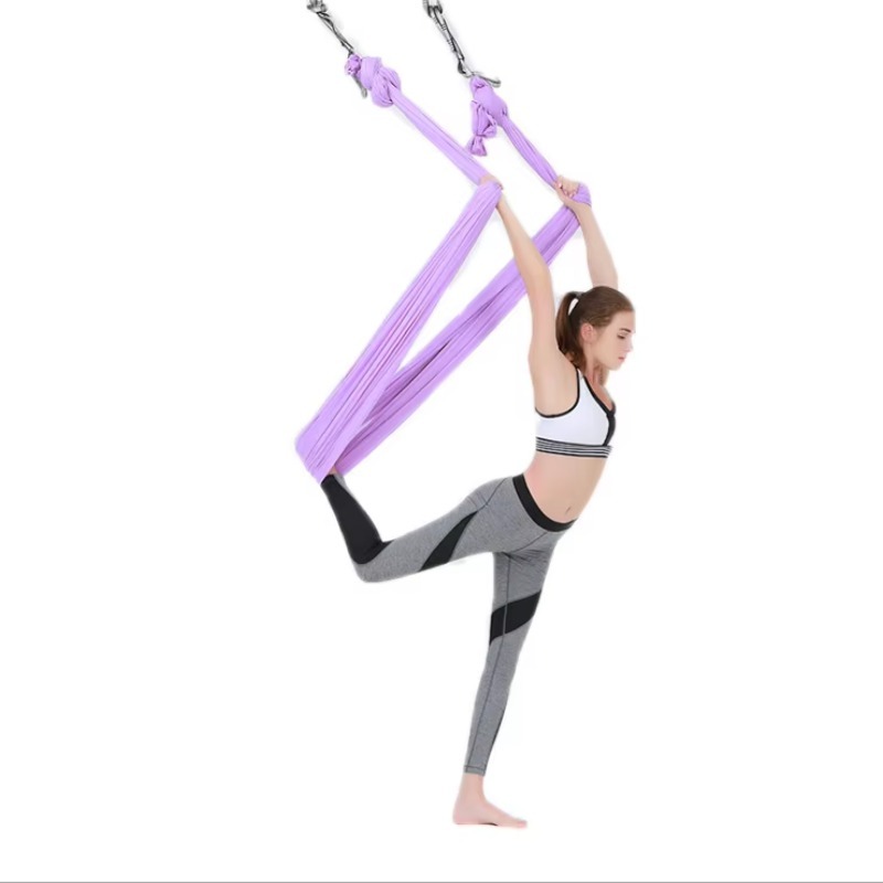 Yoga Swing Aerial - Hamac de yoga aérien professionnel de
