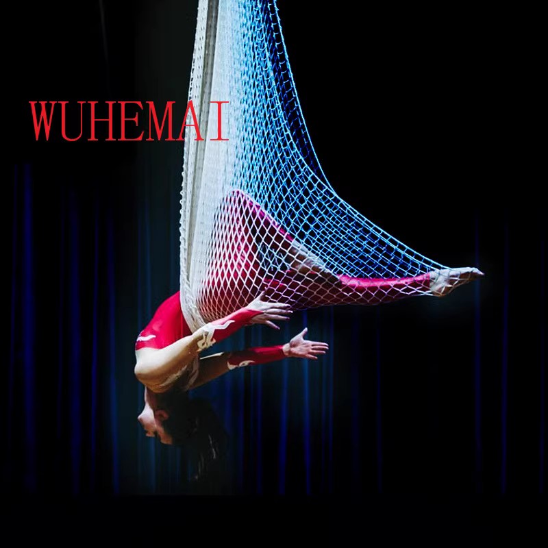 Filet suspendu pour yoga en al - Yoga Swing Aerial avis et prix