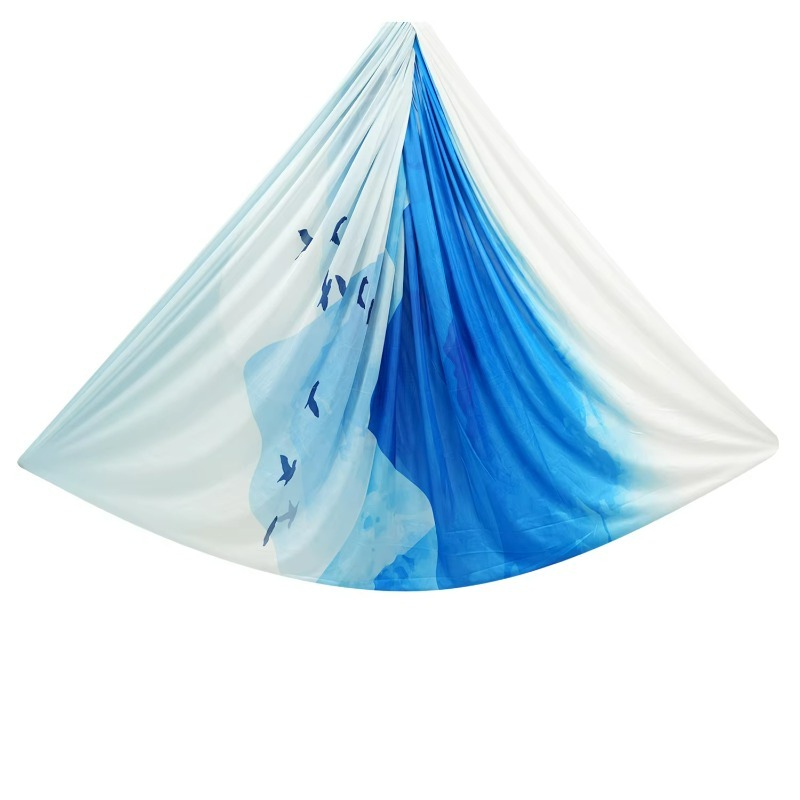 Ensemble de hamac de yoga en s - Yoga Swing Aerial avis et prix